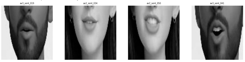 Mouth ROI extracted from avatar videos