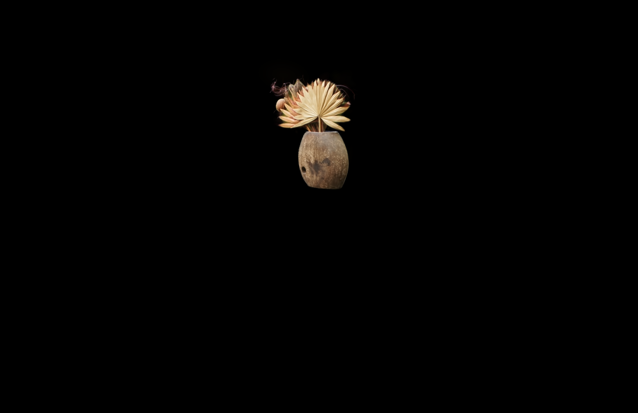 Object-only rendering visualization